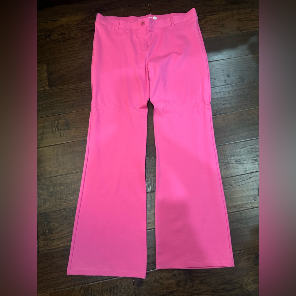 Brand New Never Wore Before Betabrand Pants
